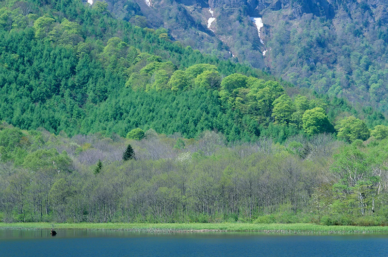 福知山市の株式会社夜久林業