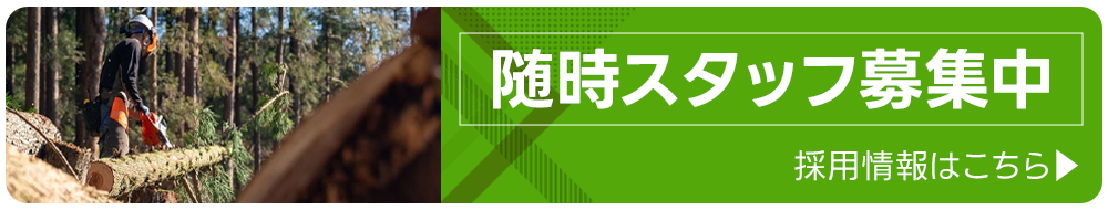随時スタッフ募集中 採用情報はこちら