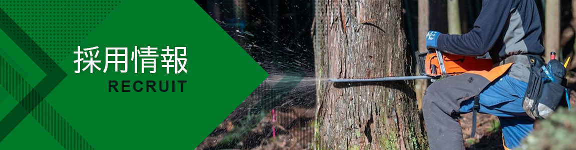 採用情報